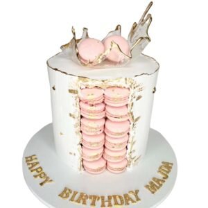 Macaron Cake