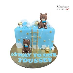 Half Teddy Bear Cake