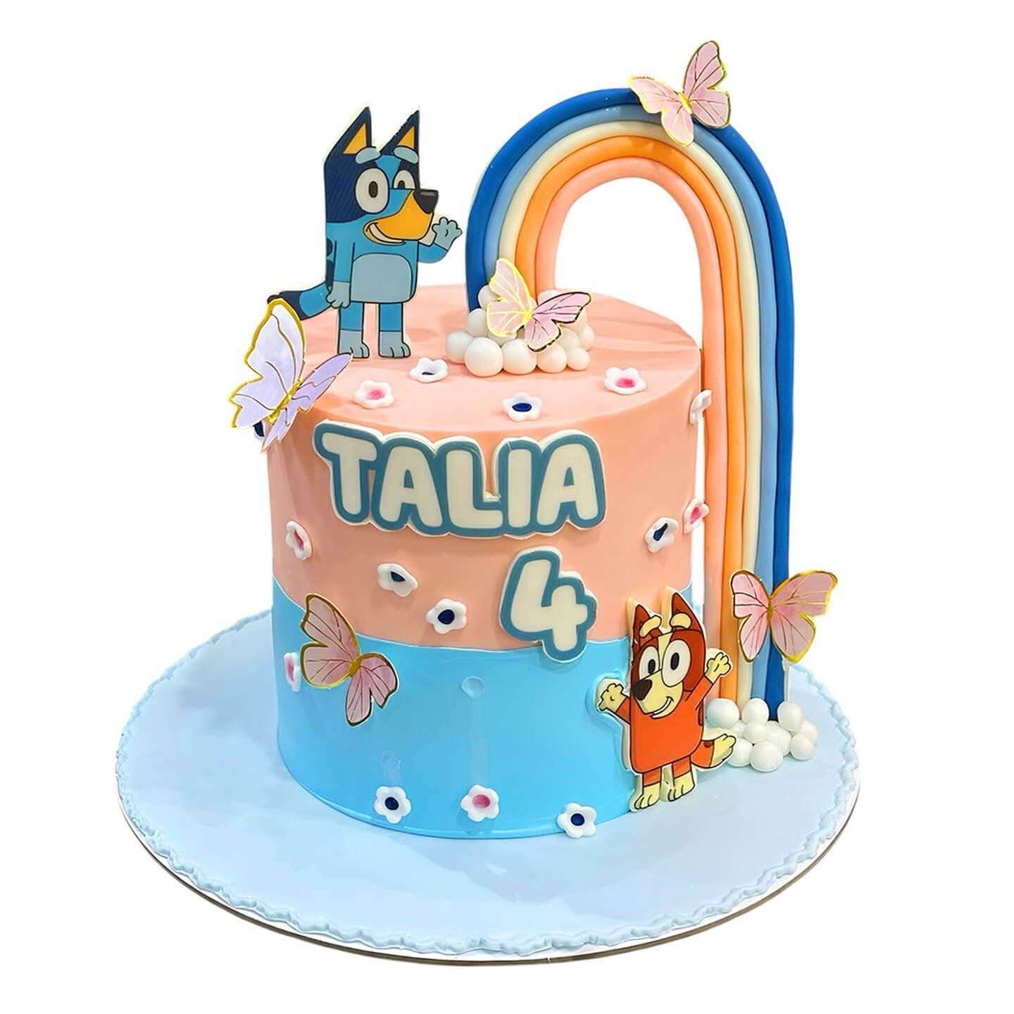 Bluey and Bingo Cake