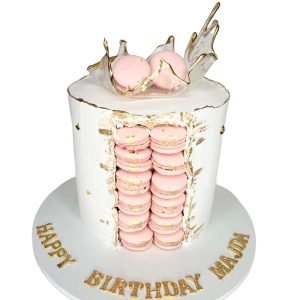 Macaron Cakes