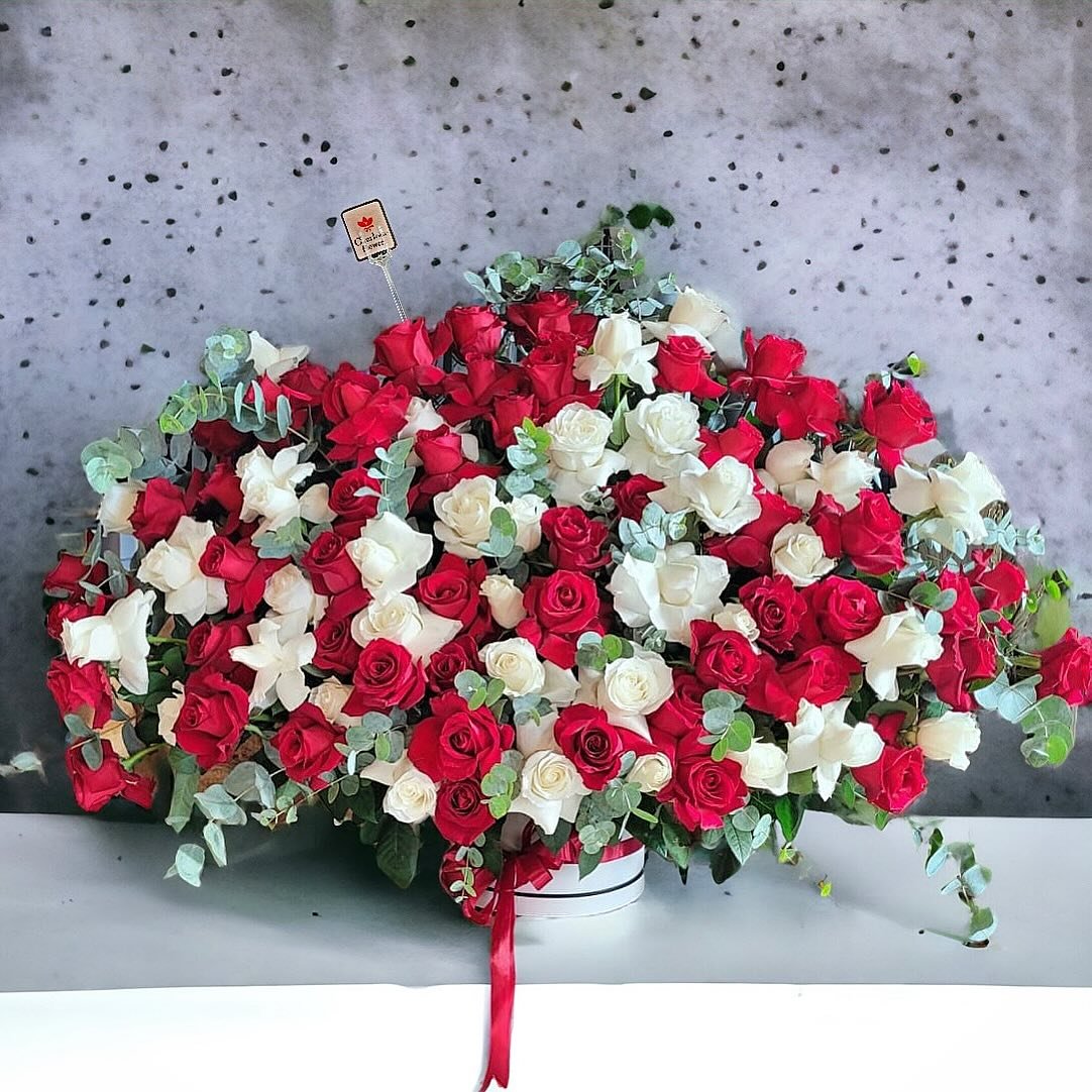 Dubai Flower Romance: A Symphony of Red and White Roses