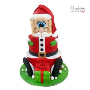 Santa Claus Cake