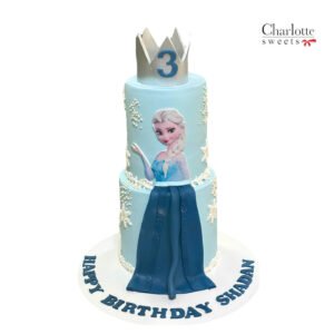 Elsa Frozen Birthday Cake