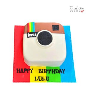 Instagram Cake