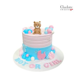 Boy Or Girl Cake