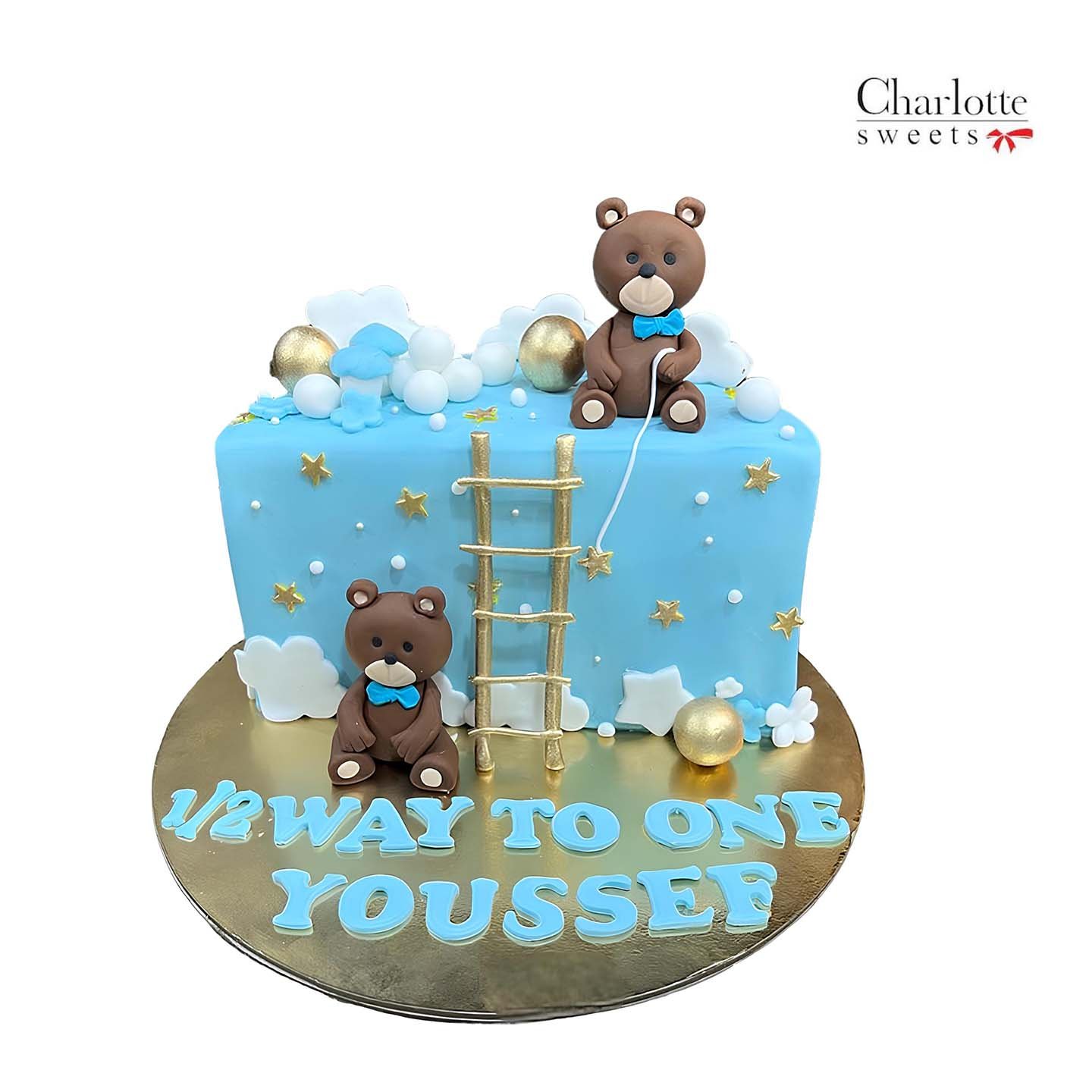 Half Teddy Bear Cake